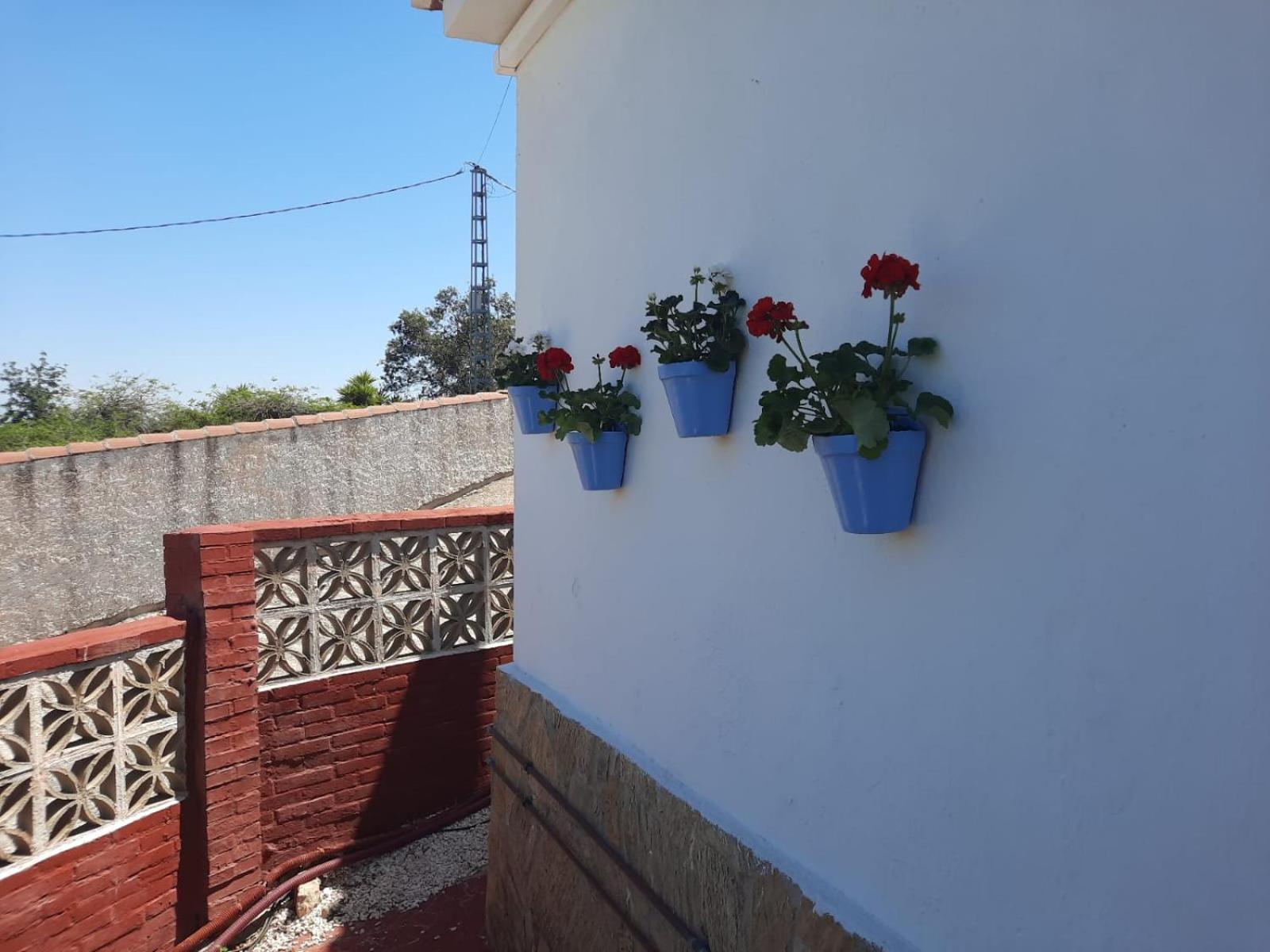 B&B Finca Sueno De Vida Альхаурин-де-ла-Торре Экстерьер фото